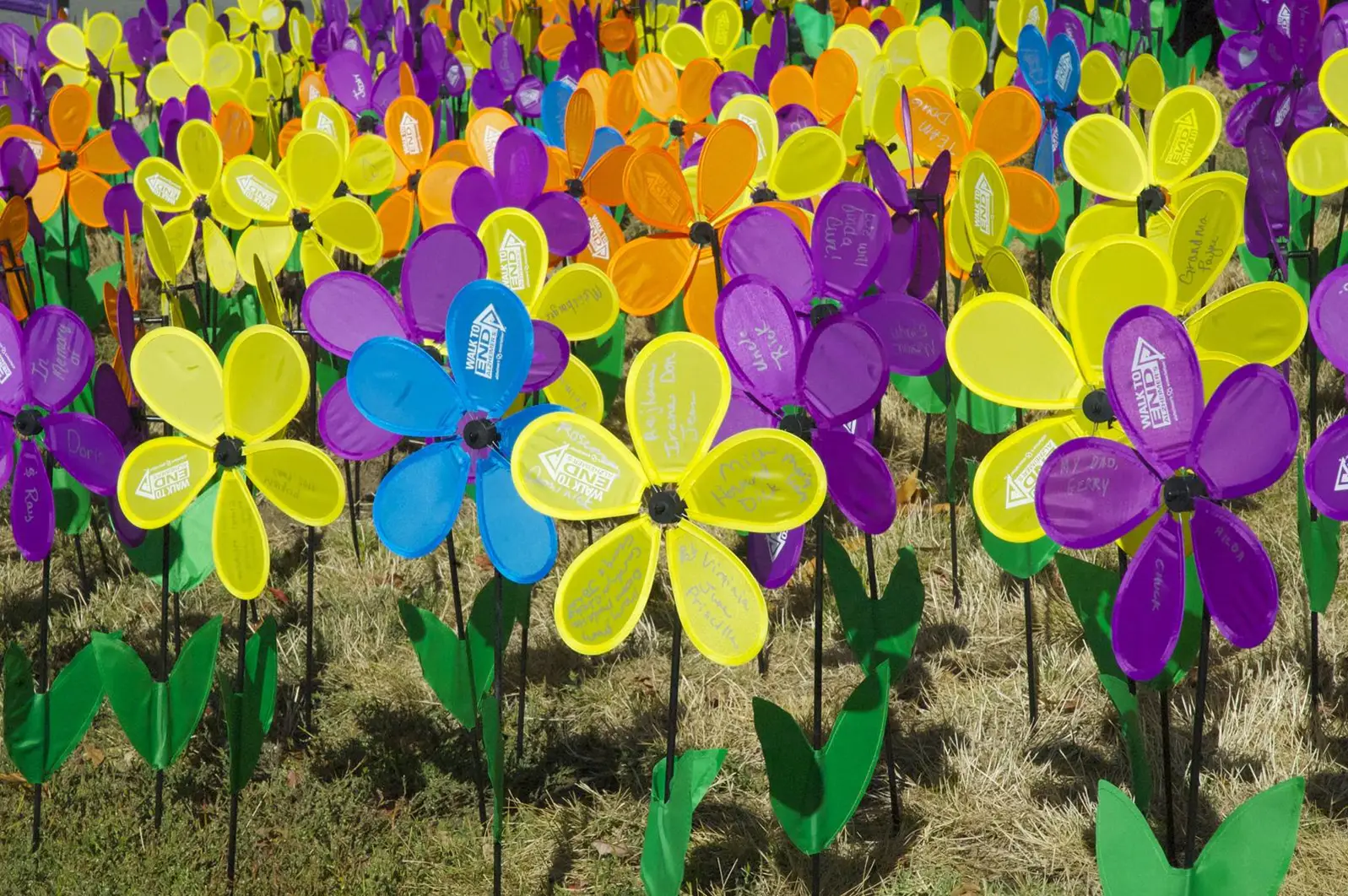 alzheimers tournament pic